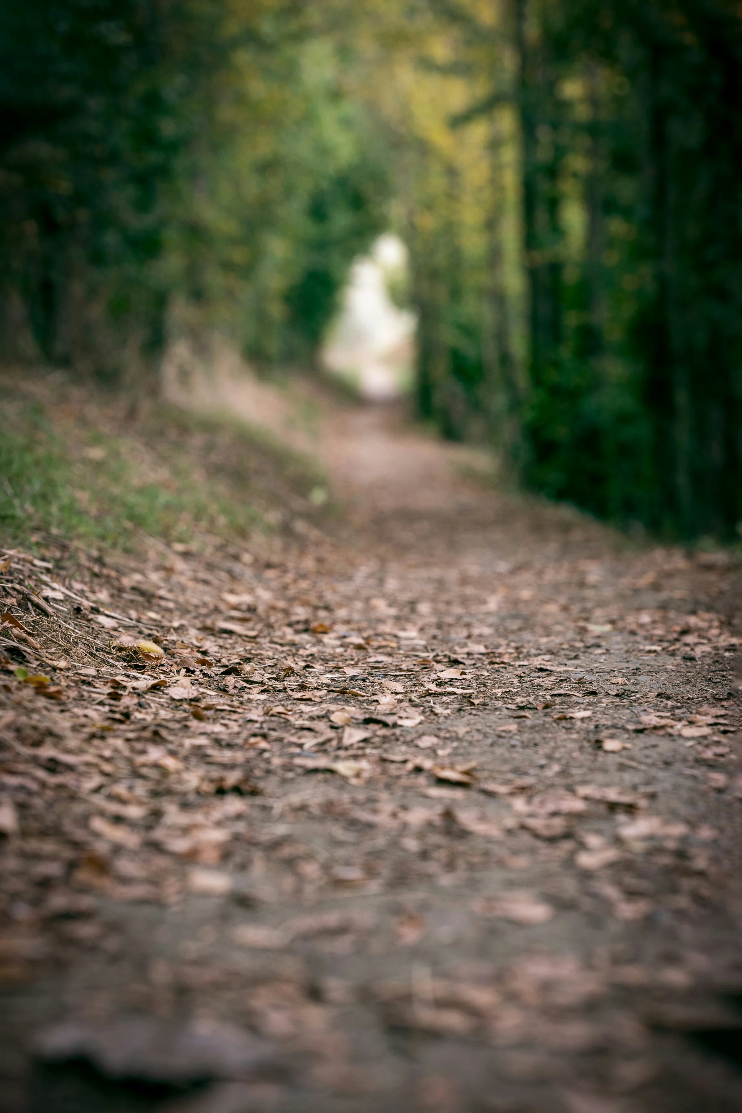 Thee Mine pathways