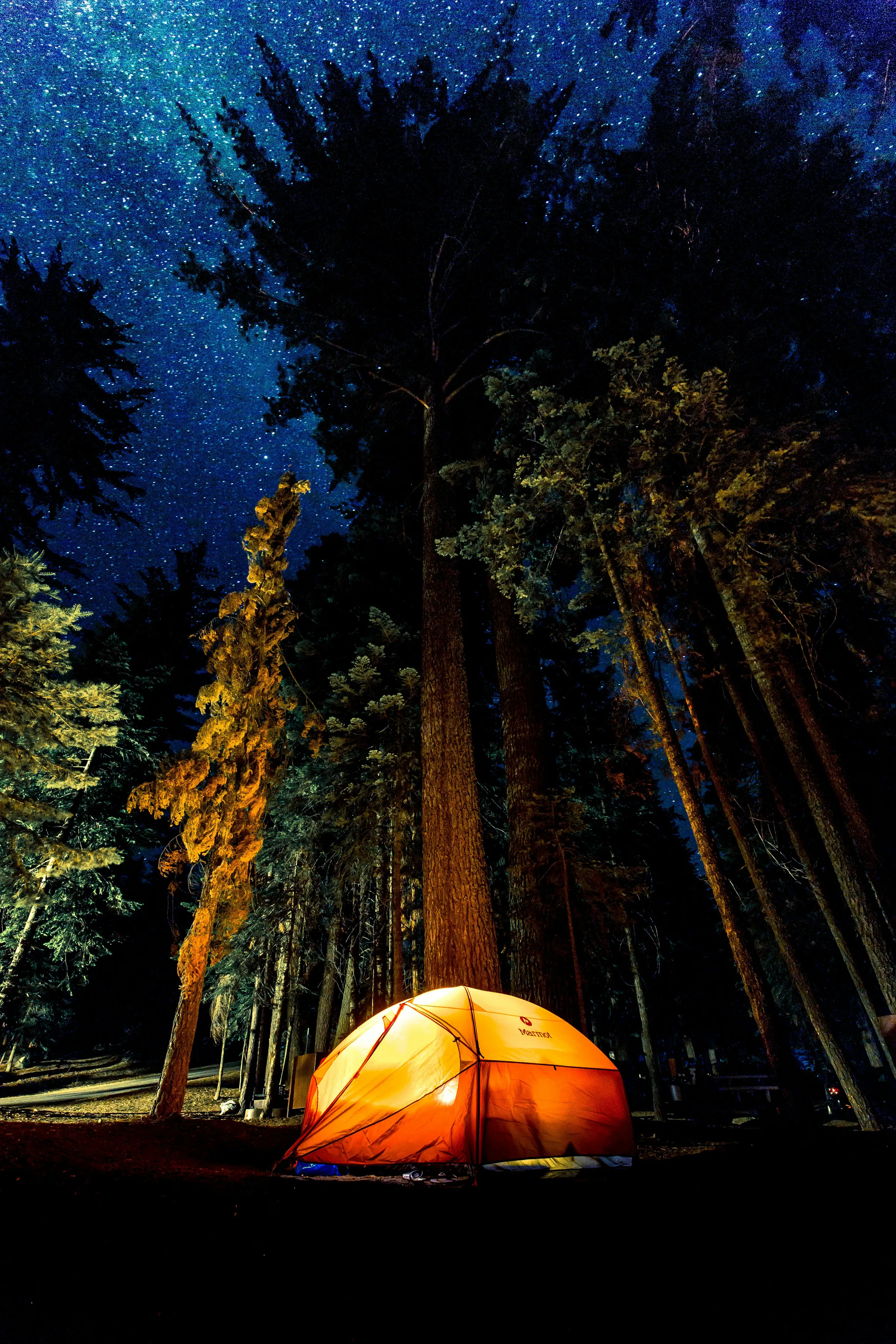 Camp sites